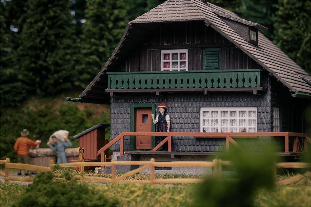Jubiläumsmodell Schwarzwaldha