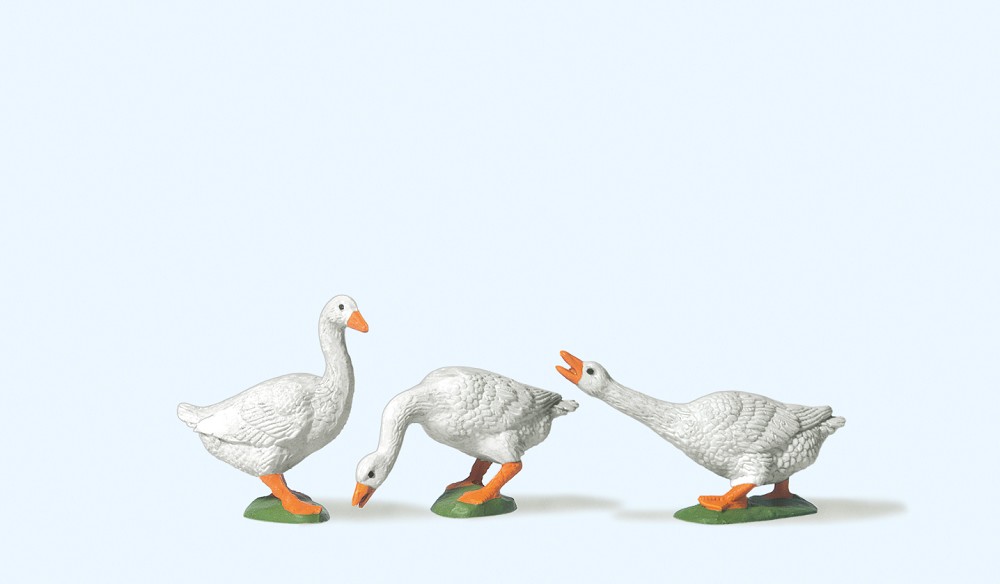 3 Gänse