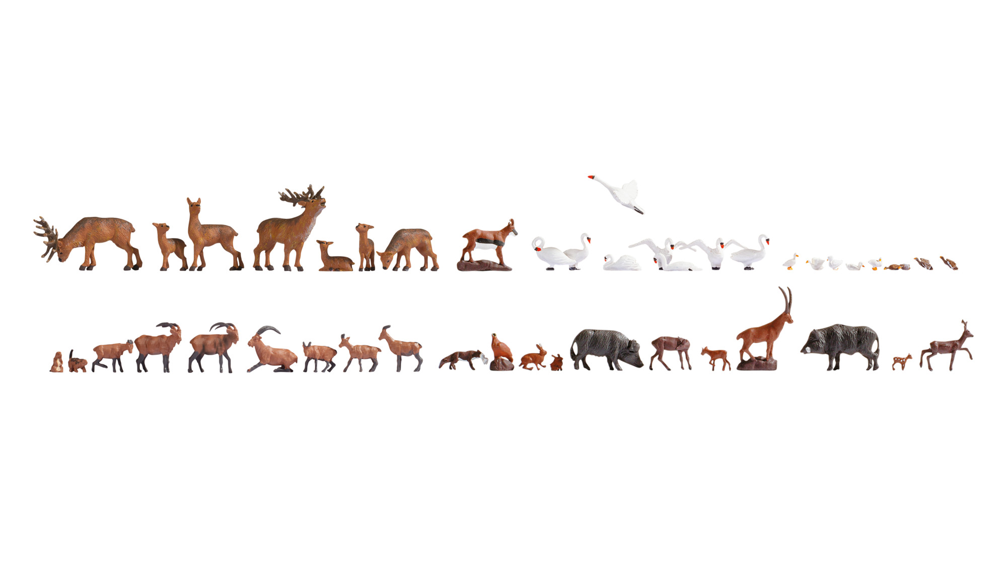 Mega-Spar-Set "Wildtiere"