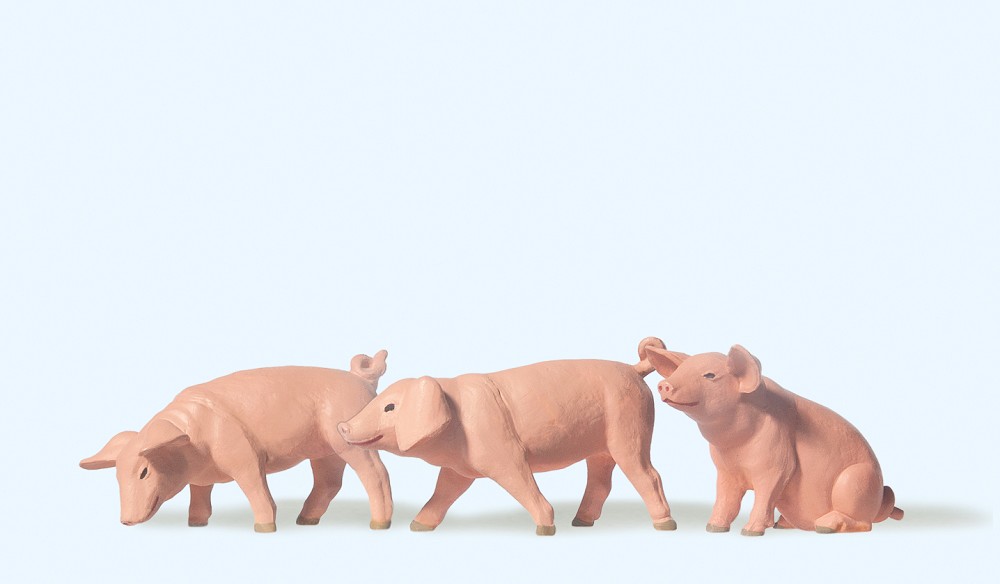 3 Ferkel