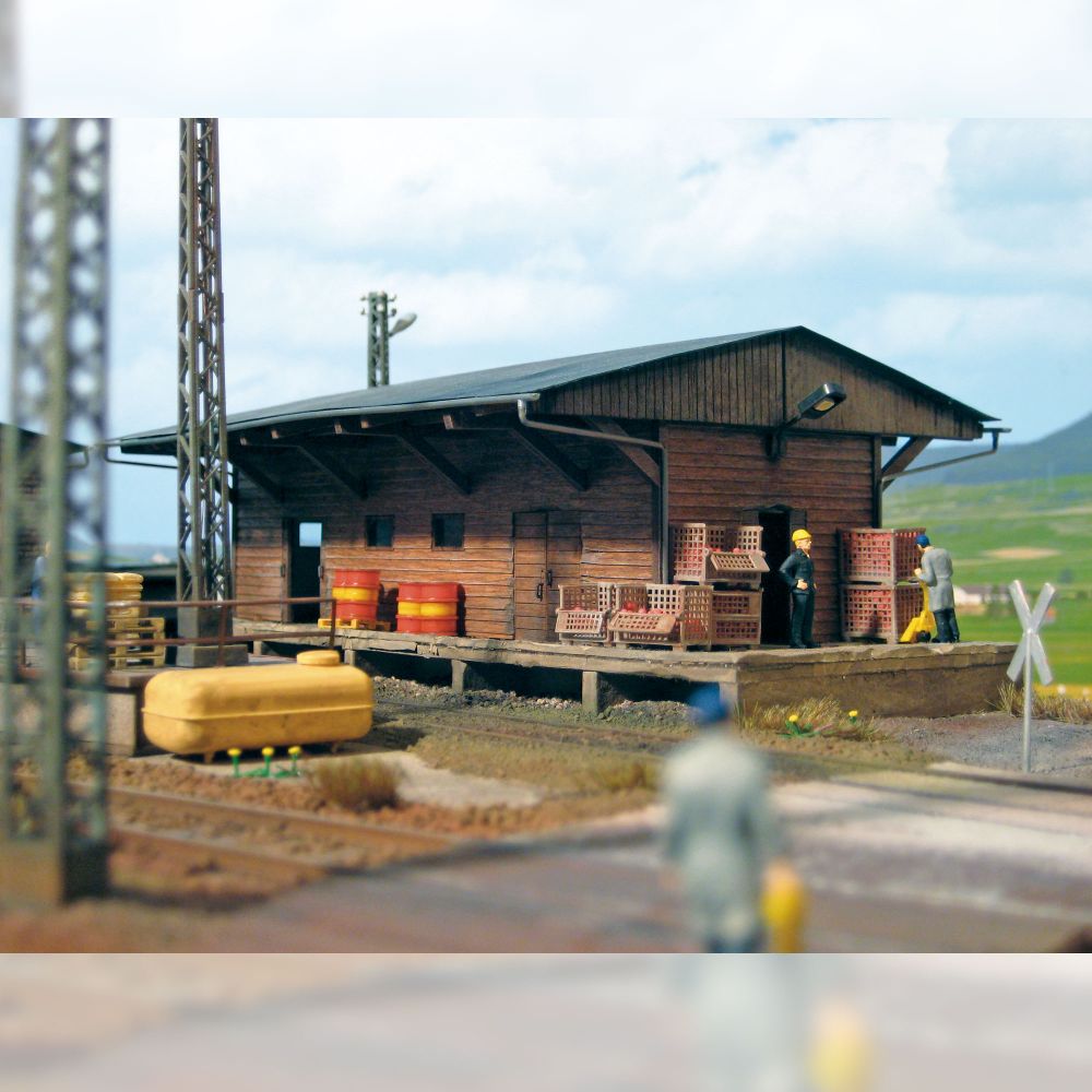 Güterschuppen Braunsdorf TT *