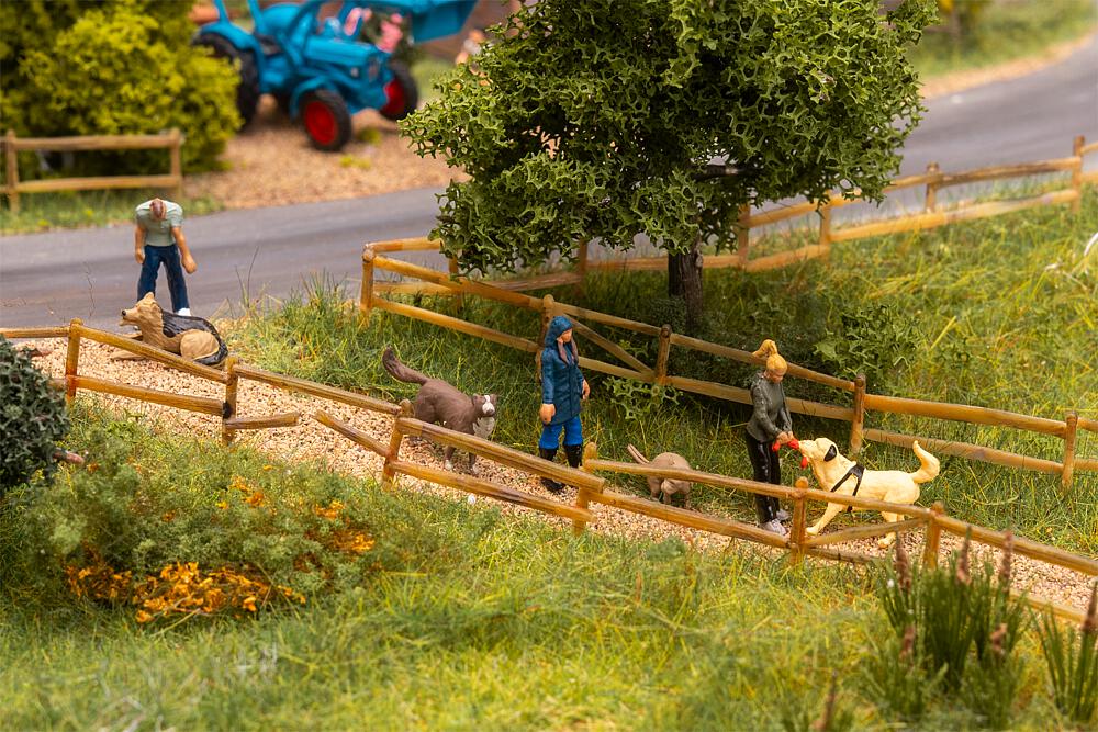 Spaziergänger mit Hunden