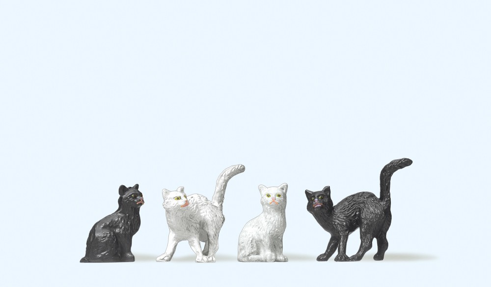 4 Katzen