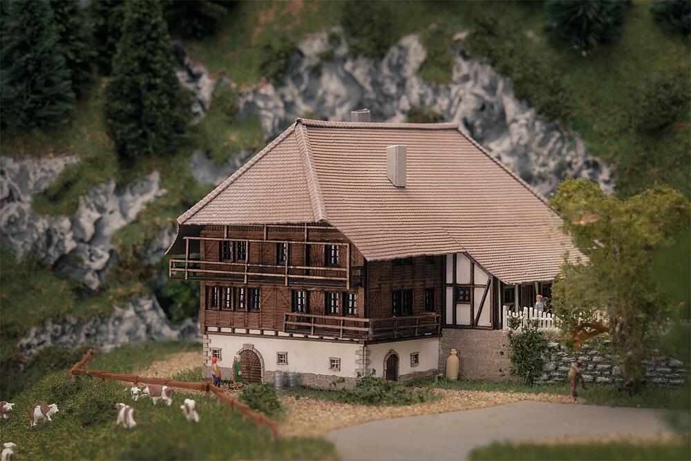 Jubiläumsmodell Schwarzwaldho