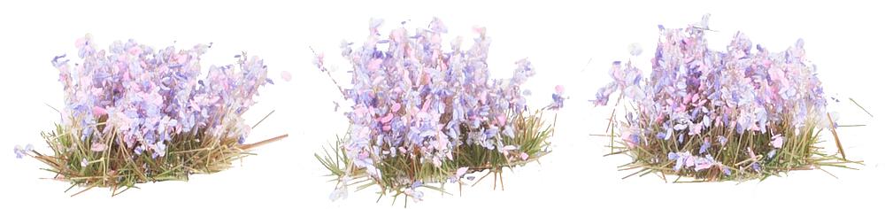 Blütenbüschel, violett