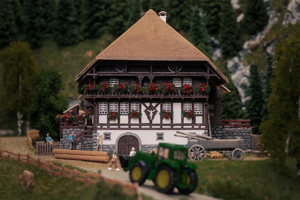 Jubiläumsmodell Schwarzwaldhof, N