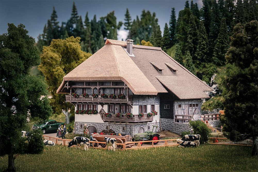 Jubiläumsmodell Schwarzwaldhof, H0