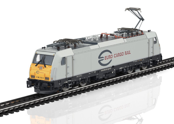038804