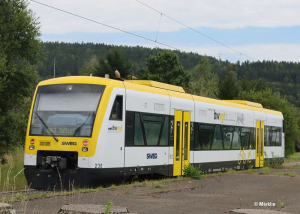 036966